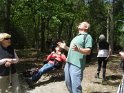 2014-06-05 14-56-44 Foret de Fontainebleau VGa